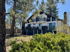 Big Bear Lake View - By far the best location Big Bear, walk to Lake!